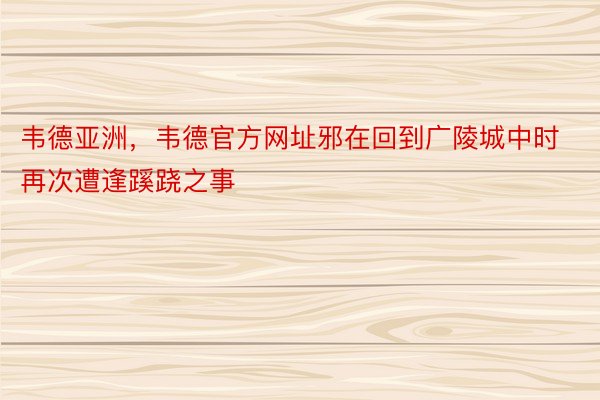 韦德亚洲，韦德官方网址邪在回到广陵城中时再次遭逢蹊跷之事